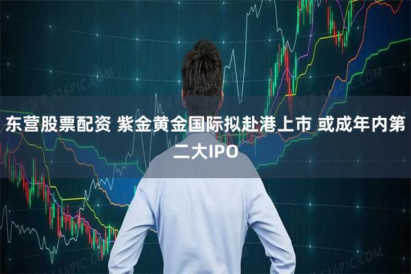 东营股票配资 紫金黄金国际拟赴港上市 或成年内第二大IPO