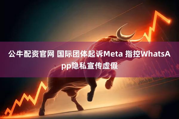 公牛配资官网 国际团体起诉Meta 指控WhatsApp隐私宣传虚假