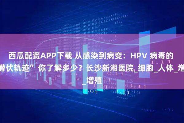 西瓜配资APP下载 从感染到病变:HPV 病毒的 “潜伏轨迹” 你了解多少?长沙新湘医院_细胞_人体_增殖