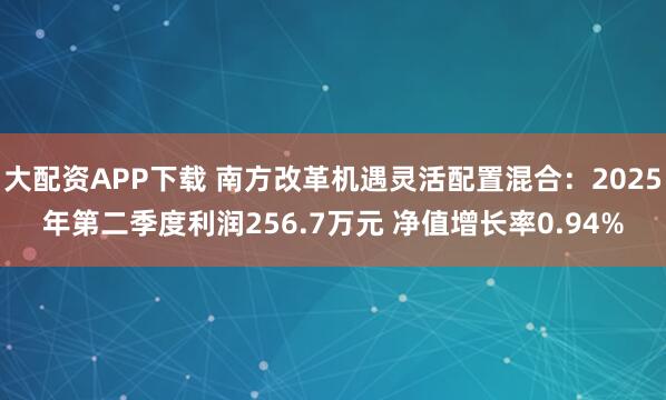 大配资APP下载 南方改革机遇灵活配置混合：2025年第二季度利润256.7万元 净值增长率0.94%